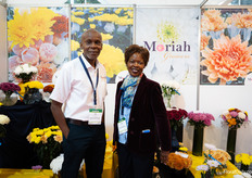 Eric and Susan Muthi of Moriah Growers, doing single head disbud mums